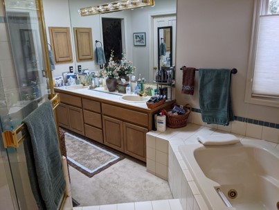 Master Bathroom in need of updates and upgrades